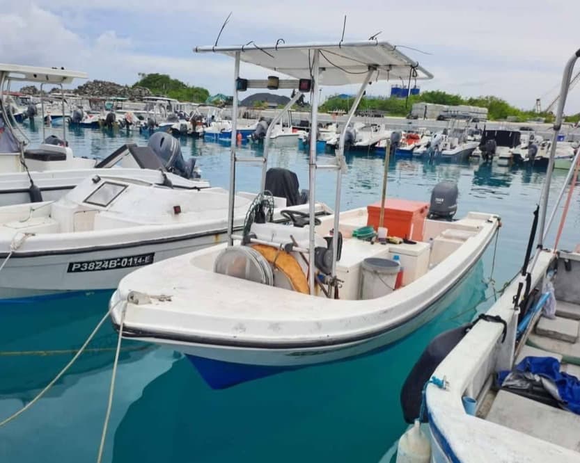 Used Custom 19ft Fiberglass Dinghy For Sale